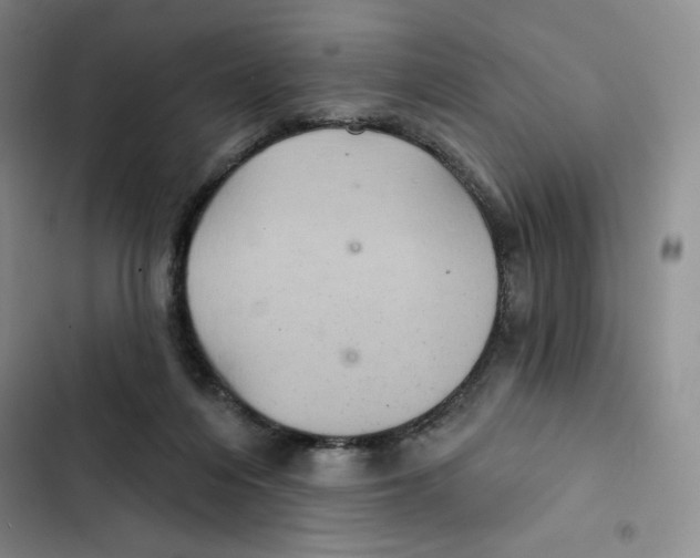 X0000102280216200808221312