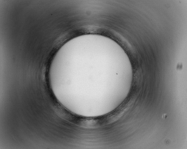 X0000102280217200808221312