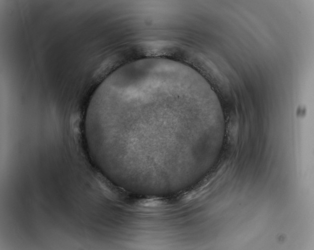 X0000102280219200808221312