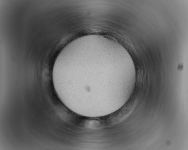 X0000102280220200808221312