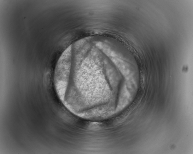 X0000102280222200808221312