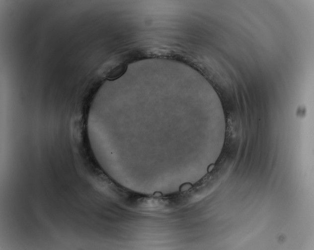 X0000102280223200808221312
