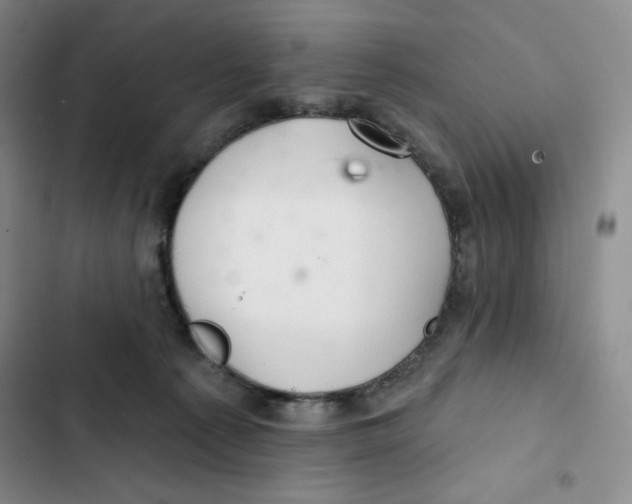 X0000102280225200808221312