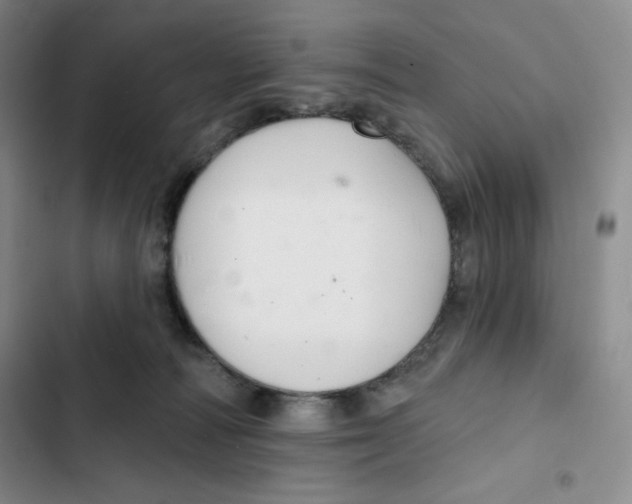 X0000102280226200808221312