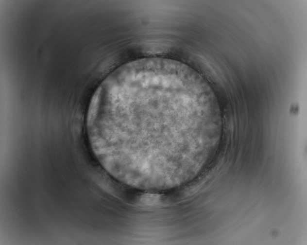 X0000102280227200808221312