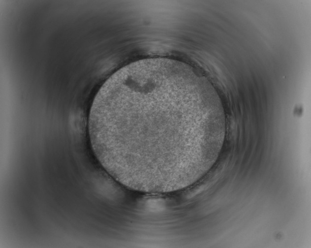 X0000102280228200808221312