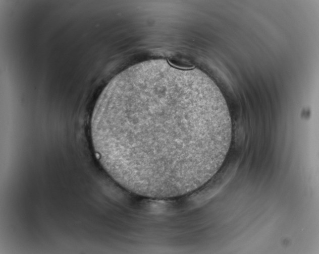 X0000102280229200808221312