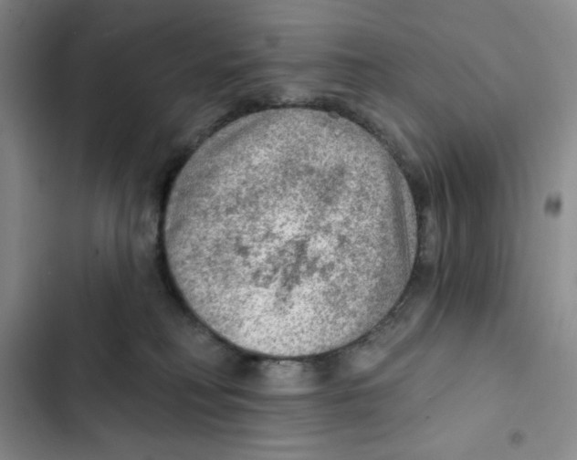 X0000102280230200808221312