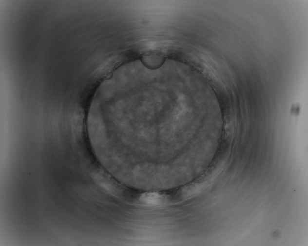 X0000102280231200808221312