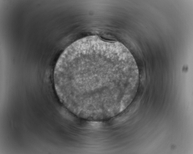X0000102280233200808221312