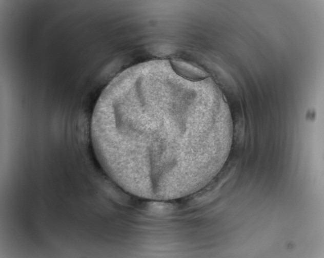 X0000102280234200808221312