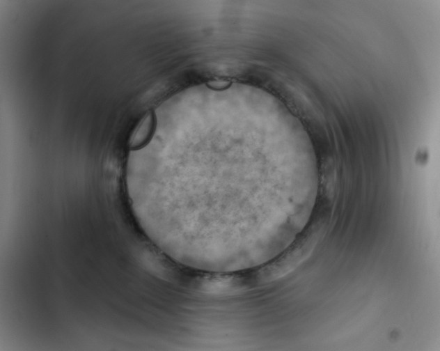 X0000102280235200808221312