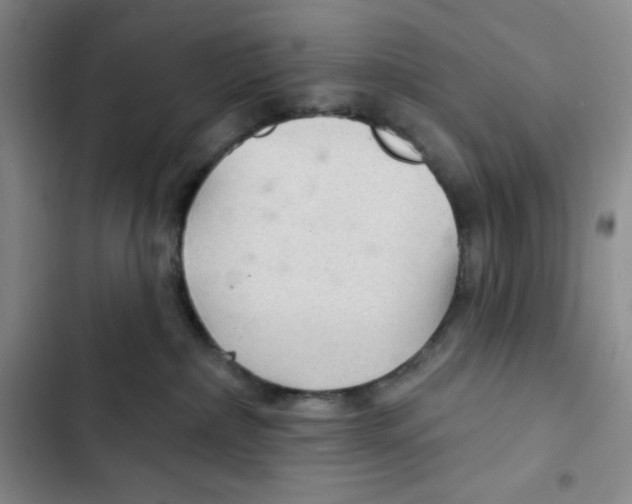 X0000102280236200808221312