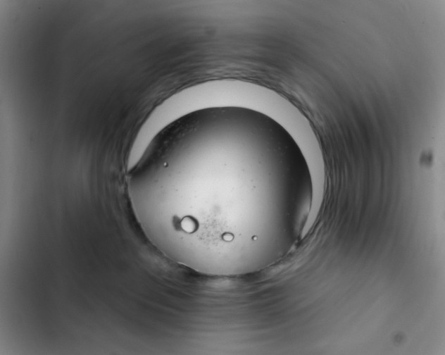 X0000102280237200808221312