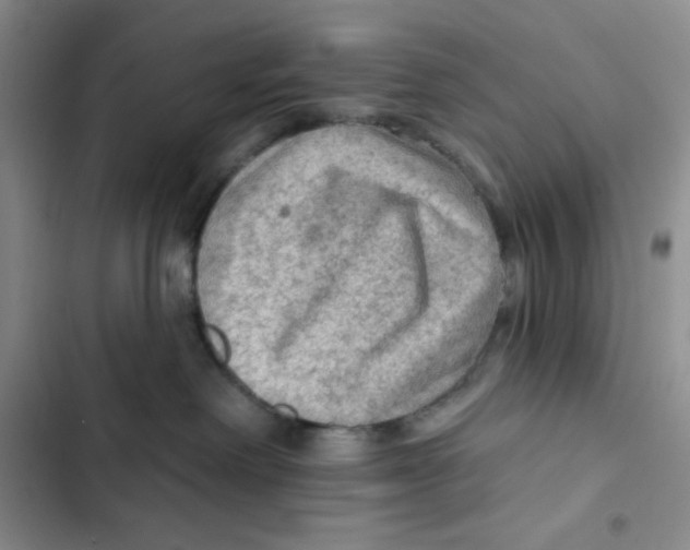 X0000102280238200808221312