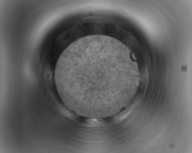 X0000102280239200808221312