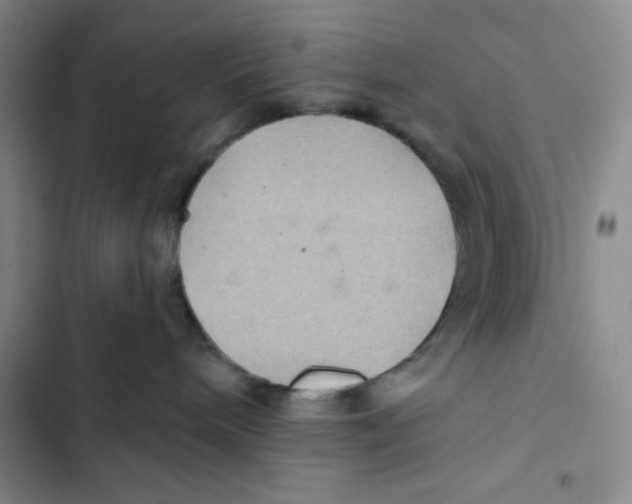 X0000102280240200808221312