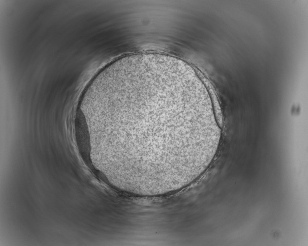 X0000102280241200808221311