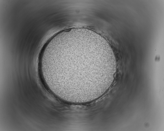X0000102280242200808221311
