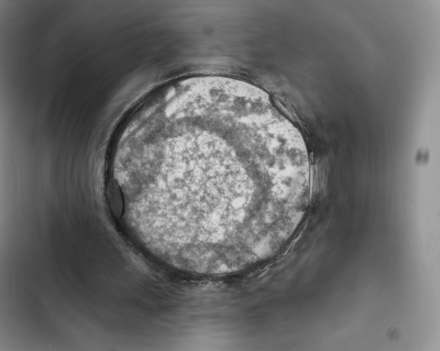 X0000102280243200808221311
