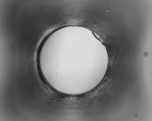 X0000102280244200808221311