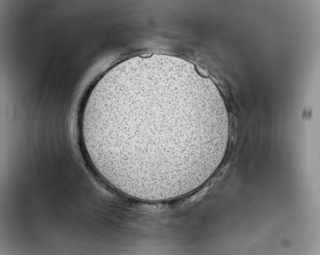 X0000102280245200808221311