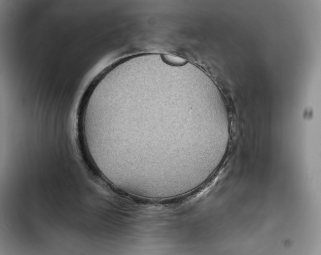 X0000102280246200808221311