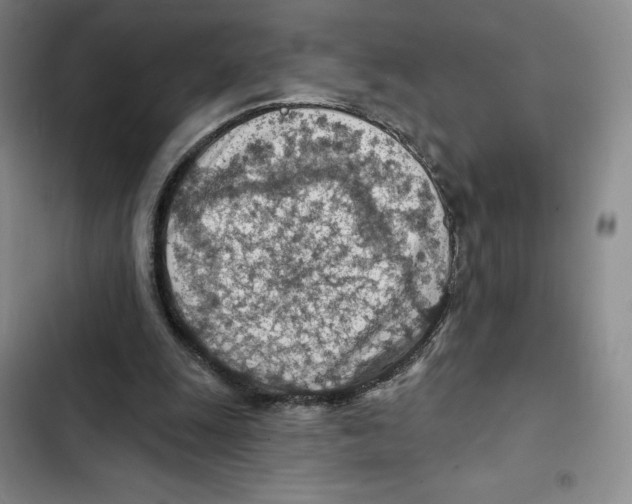 X0000102280247200808221311