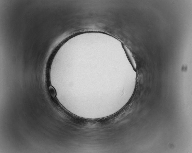 X0000102280248200808221311