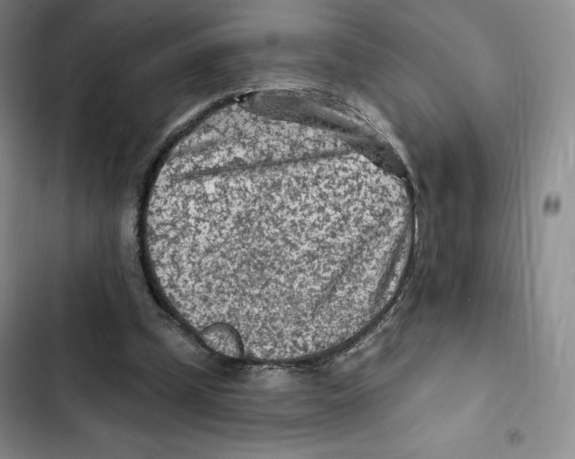X0000102280249200808221311