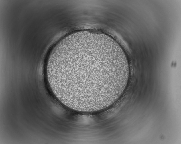 X0000102280250200808221311