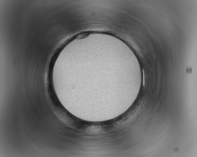 X0000102280252200808221311
