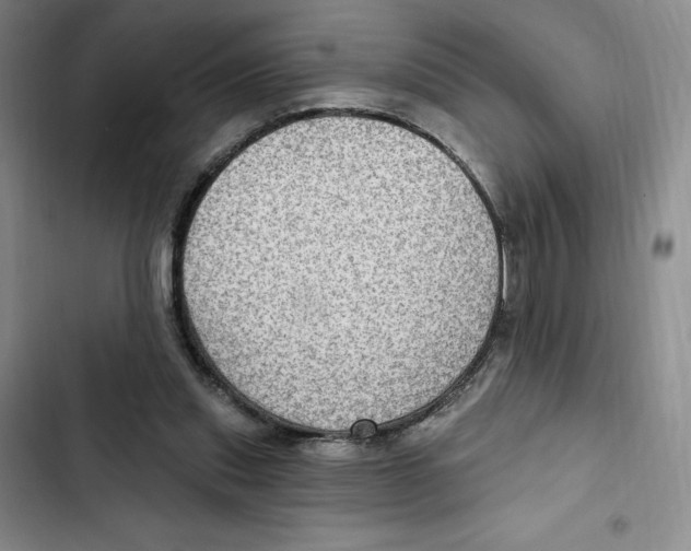X0000102280253200808221311