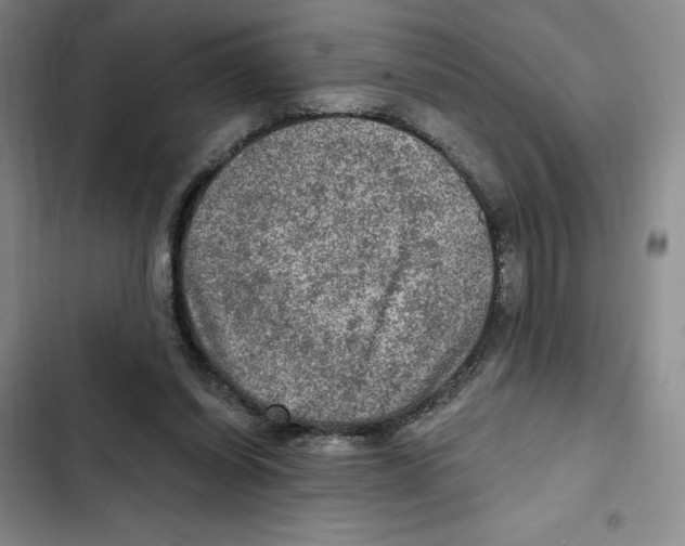 X0000102280254200808221311