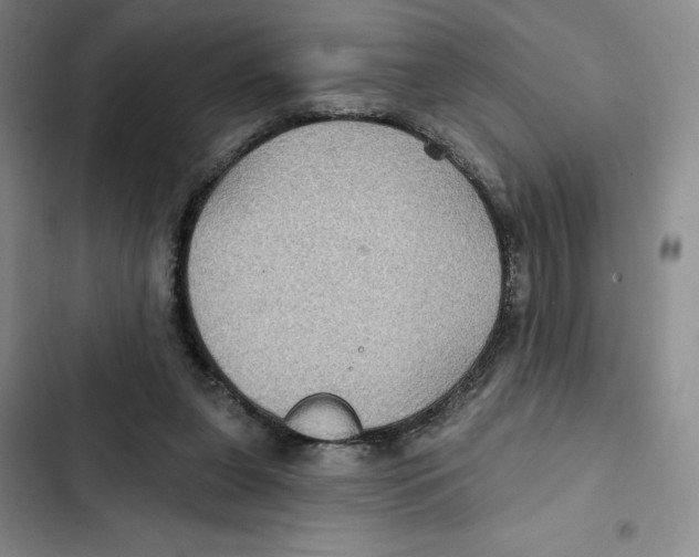 X0000102280255200808221311