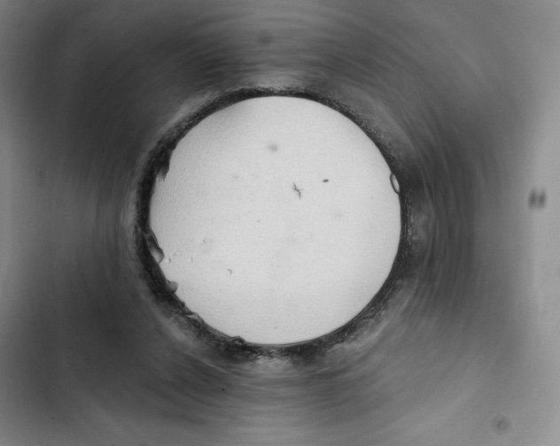 X0000102280256200808221311