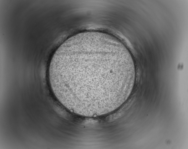 X0000102280257200808221311