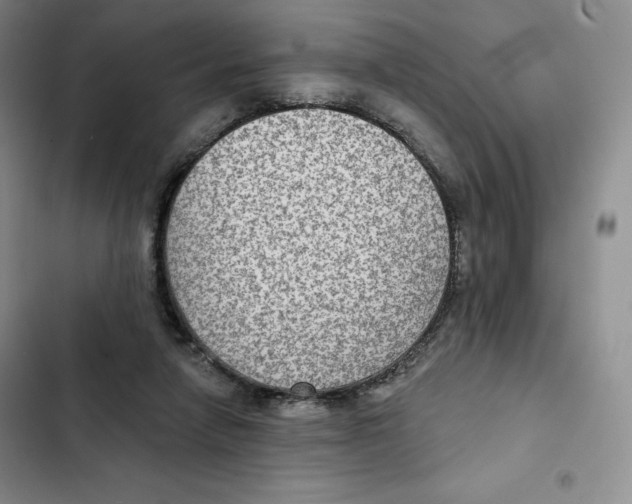 X0000102280258200808221311