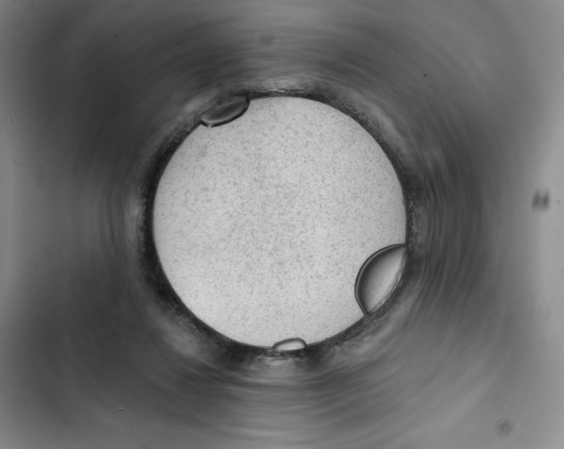 X0000102280260200808221311