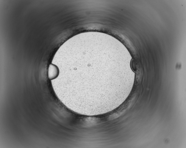 X0000102280261200808221311
