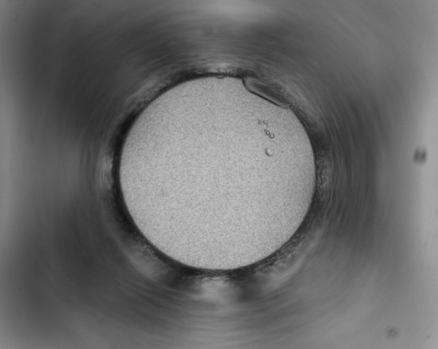 X0000102280262200808221311