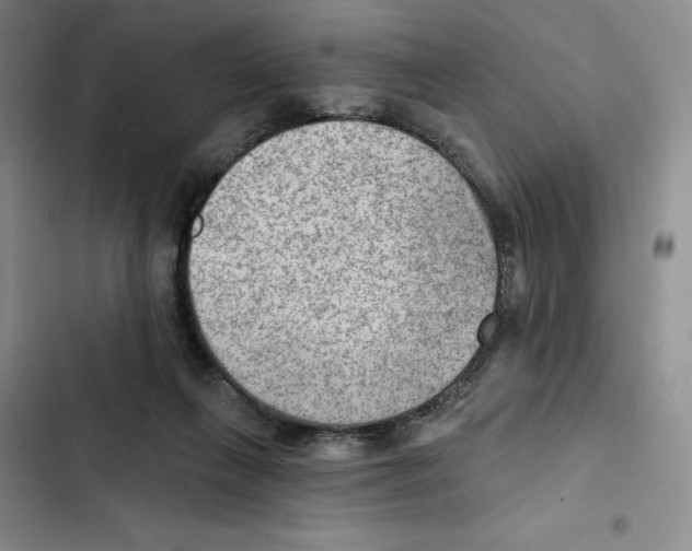 X0000102280263200808221311