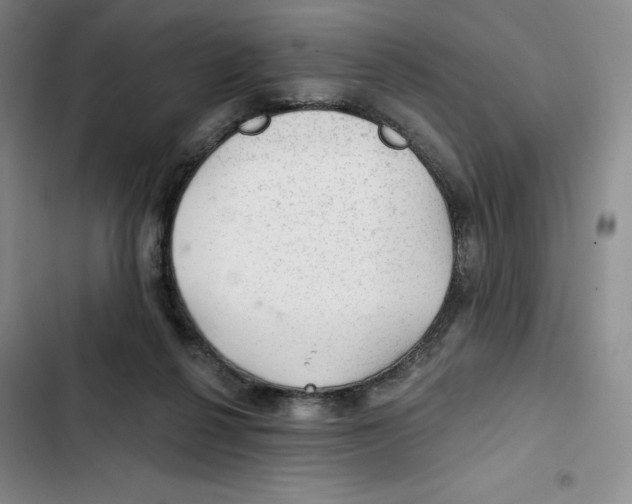 X0000102280264200808221311