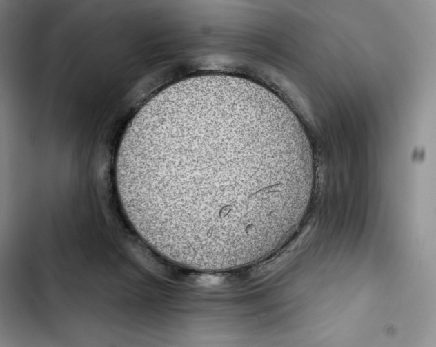 X0000102280265200808221311