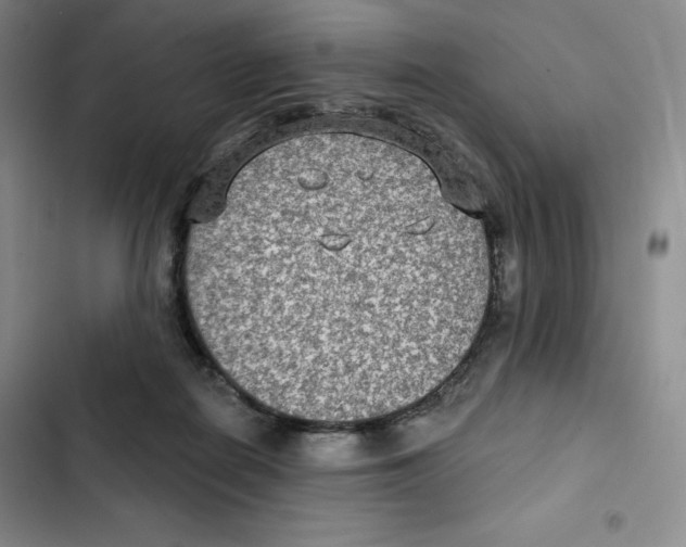 X0000102280266200808221311
