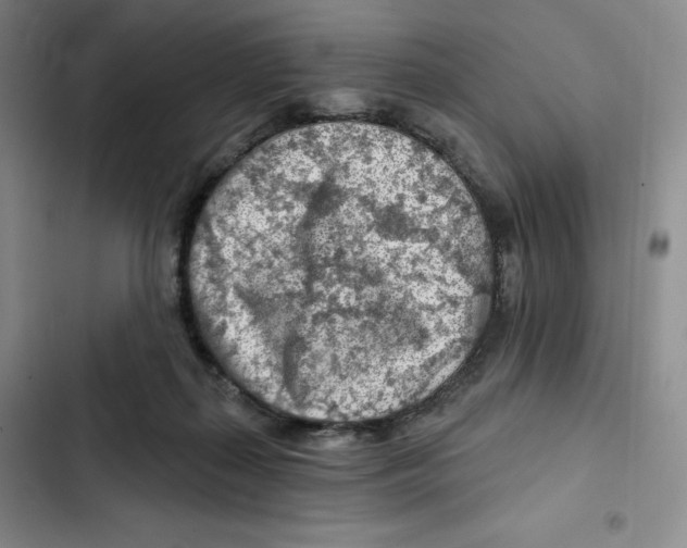 X0000102280267200808221312