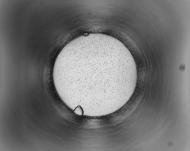 X0000102280268200808221312