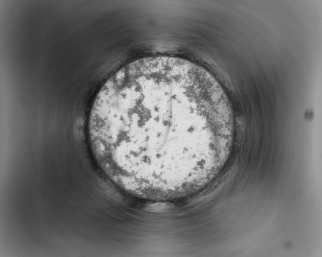 X0000102280269200808221312
