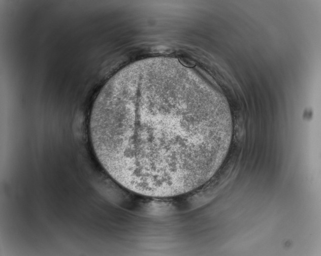 X0000102280270200808221312