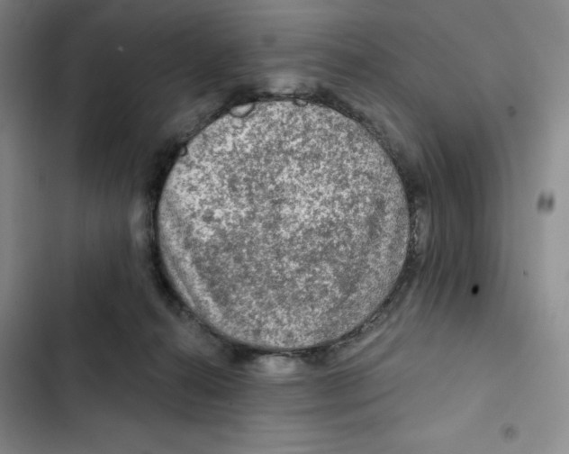 X0000102280272200808221312